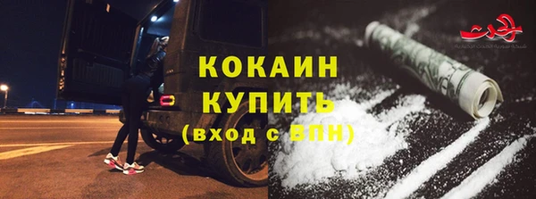 ECSTASY Елизово