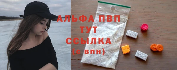 ECSTASY Елизово