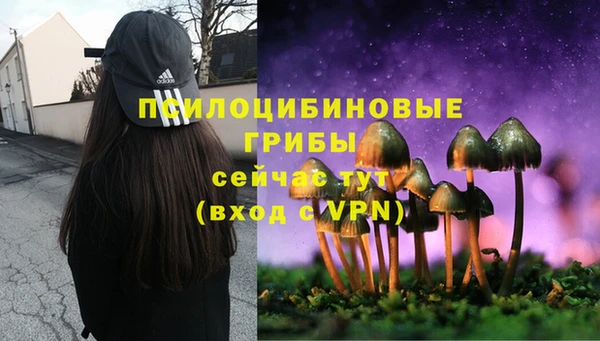MDMA Premium VHQ Елабуга