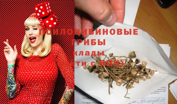mdpv Ельня