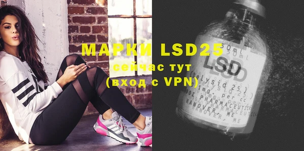 mdpv Ельня