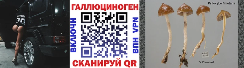 Галлюциногенные грибы Cubensis  Дзержинск 