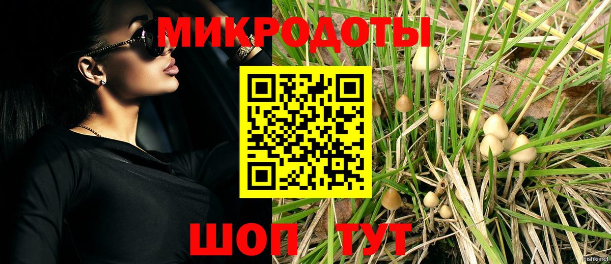 Галлюциногенные грибы GOLDEN TEACHER  Дзержинск  Галлюциногенные грибы прущие грибы 