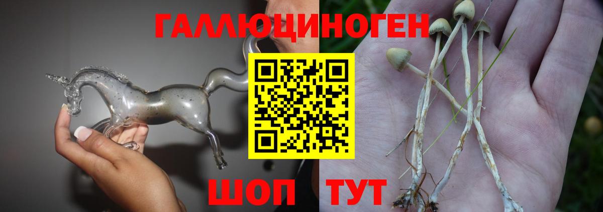 Галлюциногенные грибы MAGIC MUSHROOMS Дзержинск