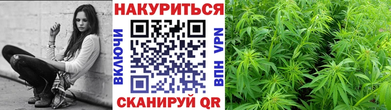 нарко площадка клад  Дзержинск  Бошки марихуана White Widow 