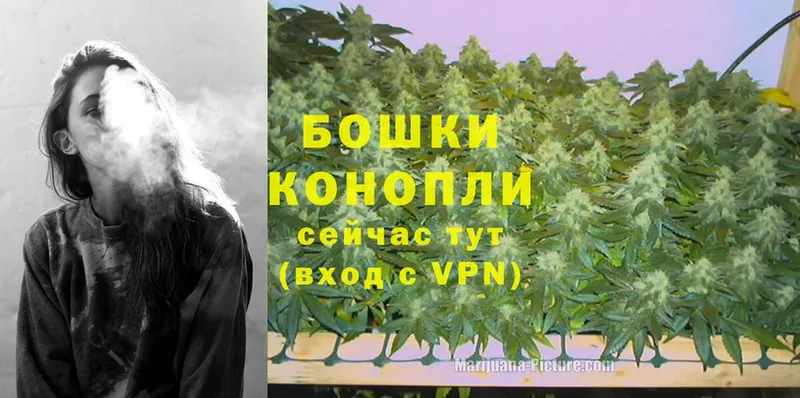Шишки марихуана план  даркнет клад  Дзержинск  цена  